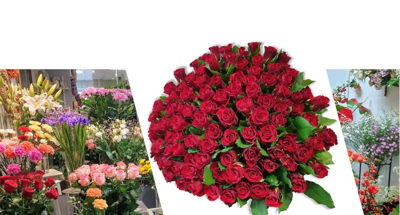 Alma Blumenladen Breslau Sträuße
